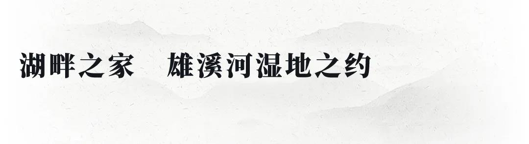 asiagame(中国区)官方网站